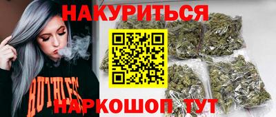 гашик Моздок