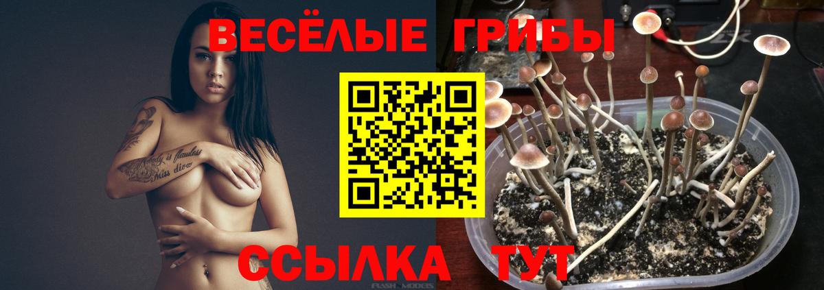 Псилоцибиновые грибы Magic Shrooms  Вход с VPN  Галлюциногенные грибы прущие грибы  Ялта 