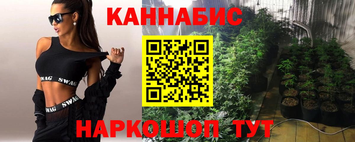 Бошки марихуана Amnesia Ялта